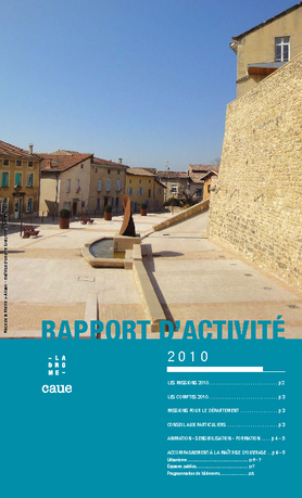Rapport d&rsquo;activité 2010