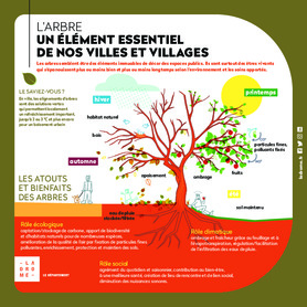 L&rsquo;arbre, un élément essentiel de nos villes et villages
